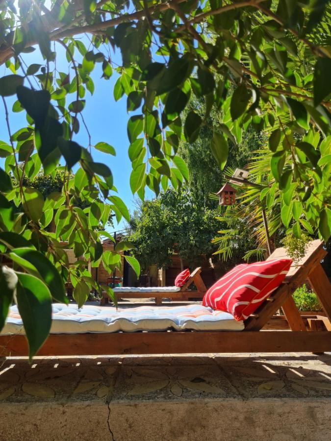 Cabanas Refugio Nativo Santa Cruz Eksteriør billede